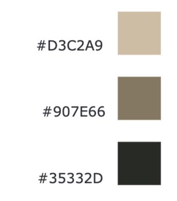 Kleurenpalet met de codes #D3C2A9, #907E66 en #35332D.